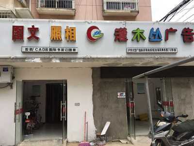 灌木丛图文广告 在每一片叶隙里，播种品牌回响